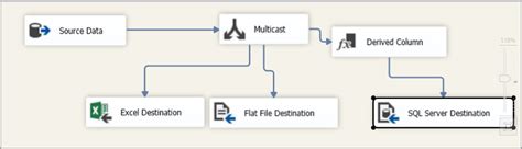 ssis multicast